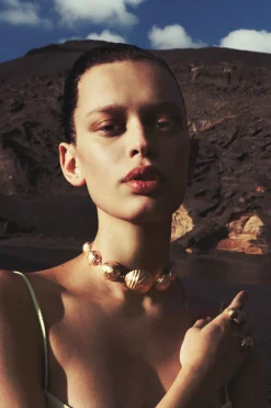 Bijan Choker