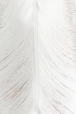 Renata Gown
