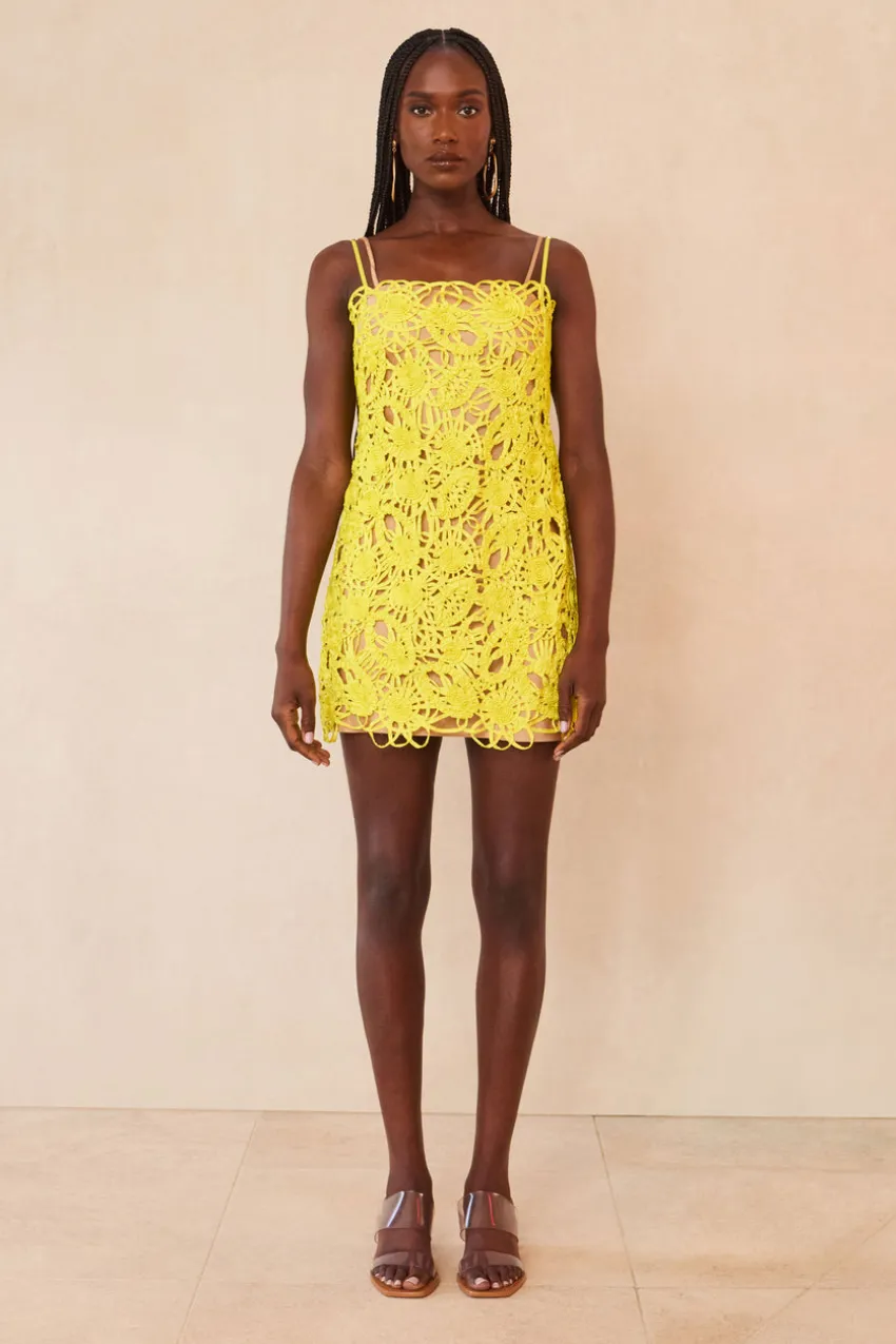 Shaunez Dress